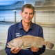 Imagen para el artículo titulado Los australianos han estado comiendo durante años un pescado desconocido para la ciencia